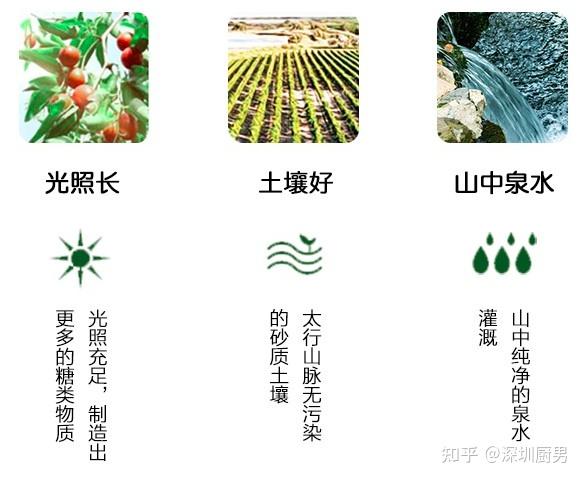 河北画册印刷基地
