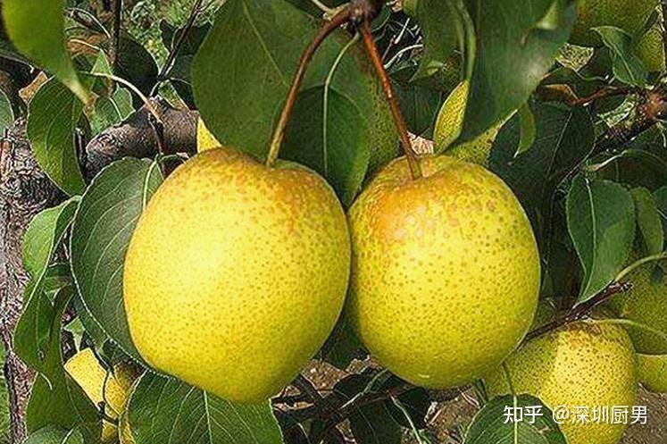 河北画册印刷基地