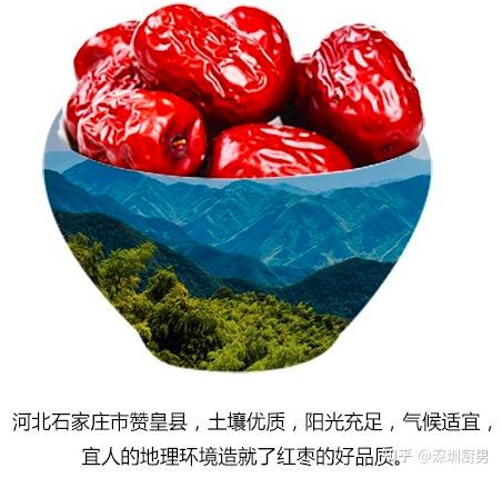 河北画册印刷基地